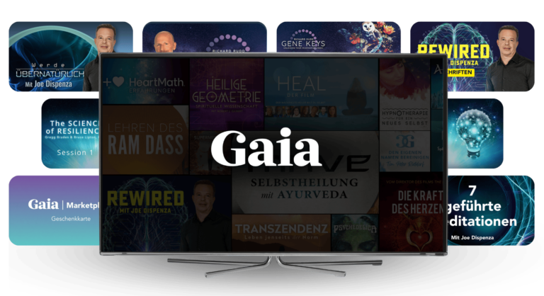 De Rewired Bundle V2