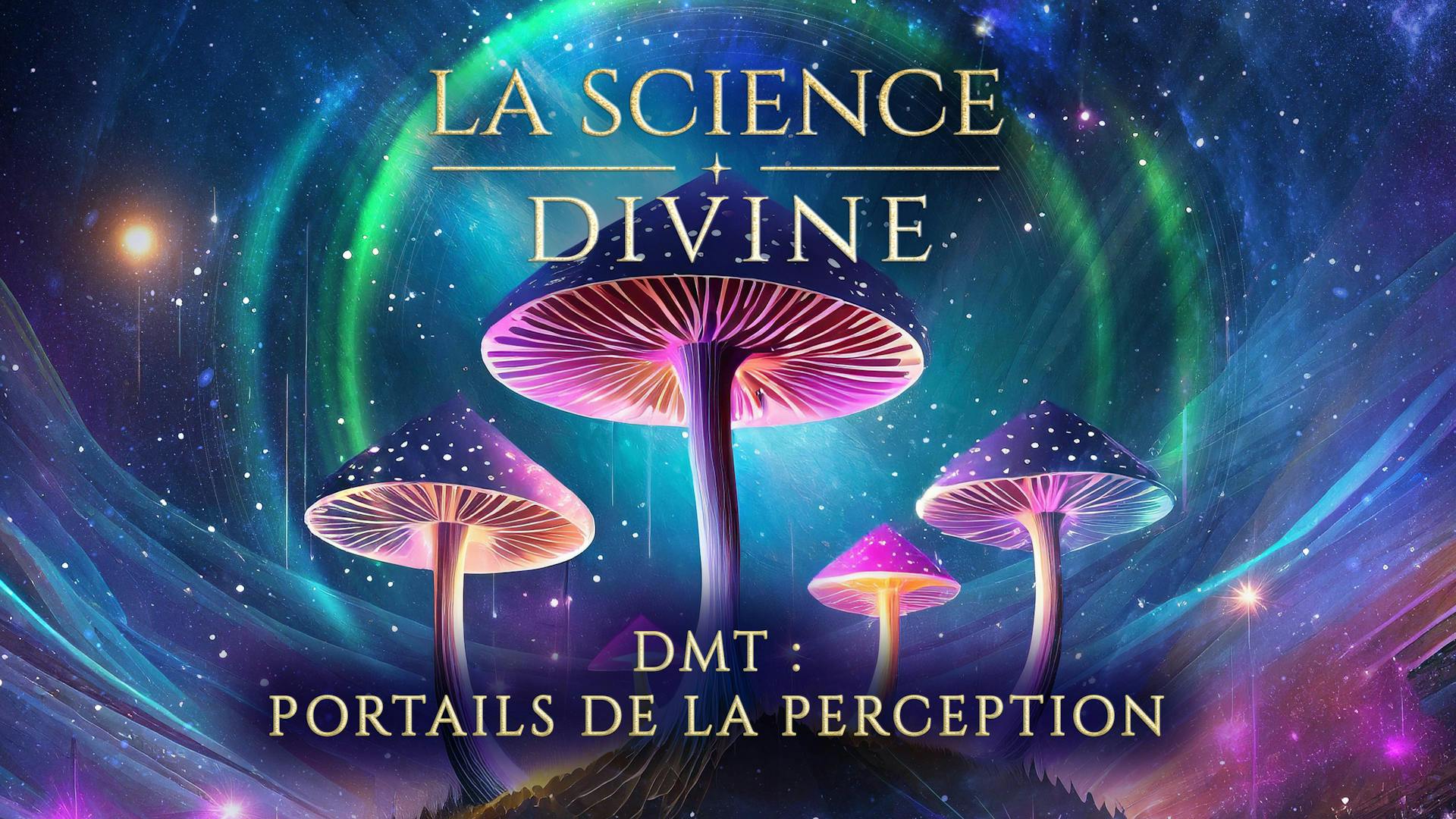 DMT Portails de la perception