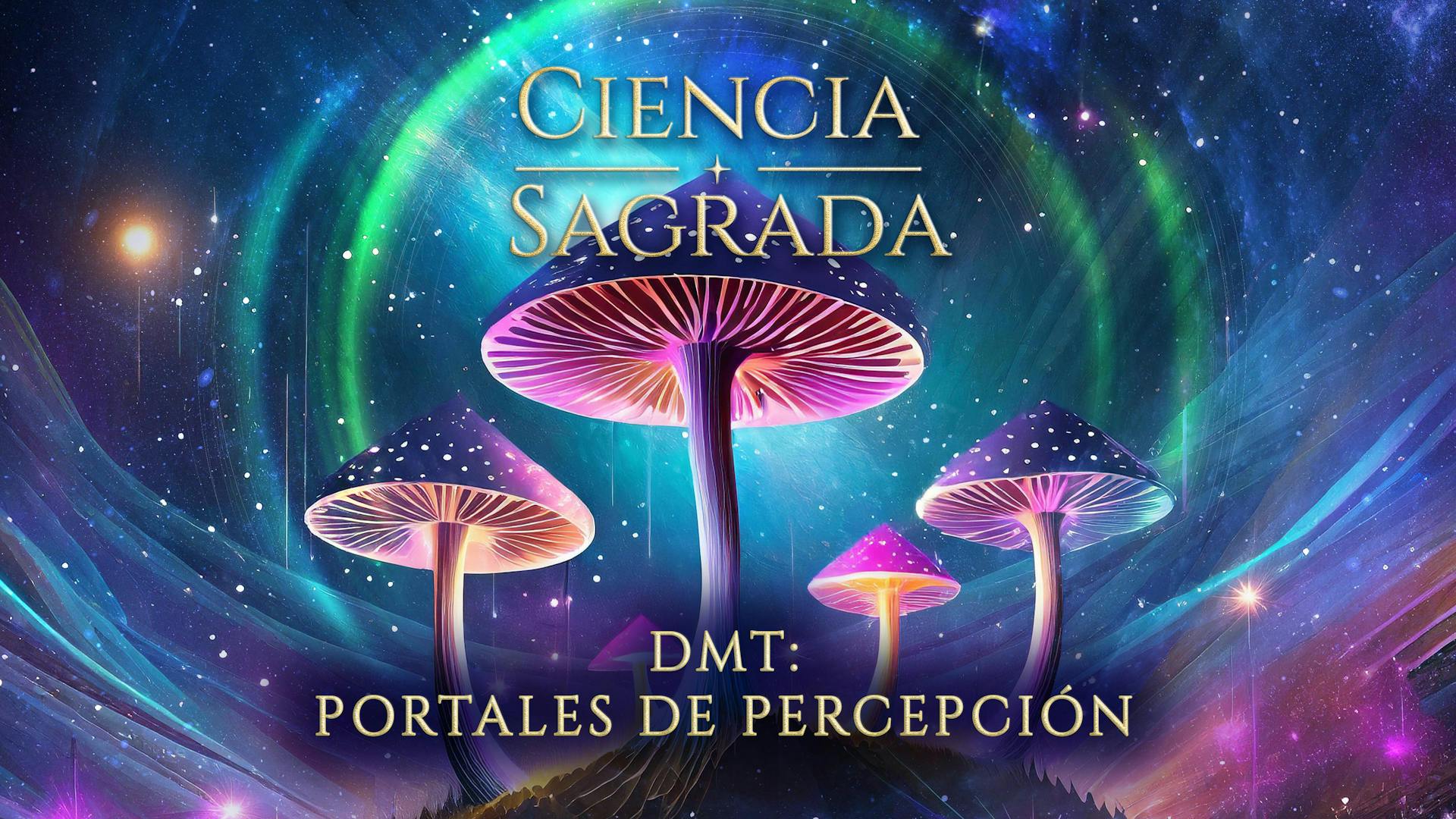 DMT Portales de percepcion
