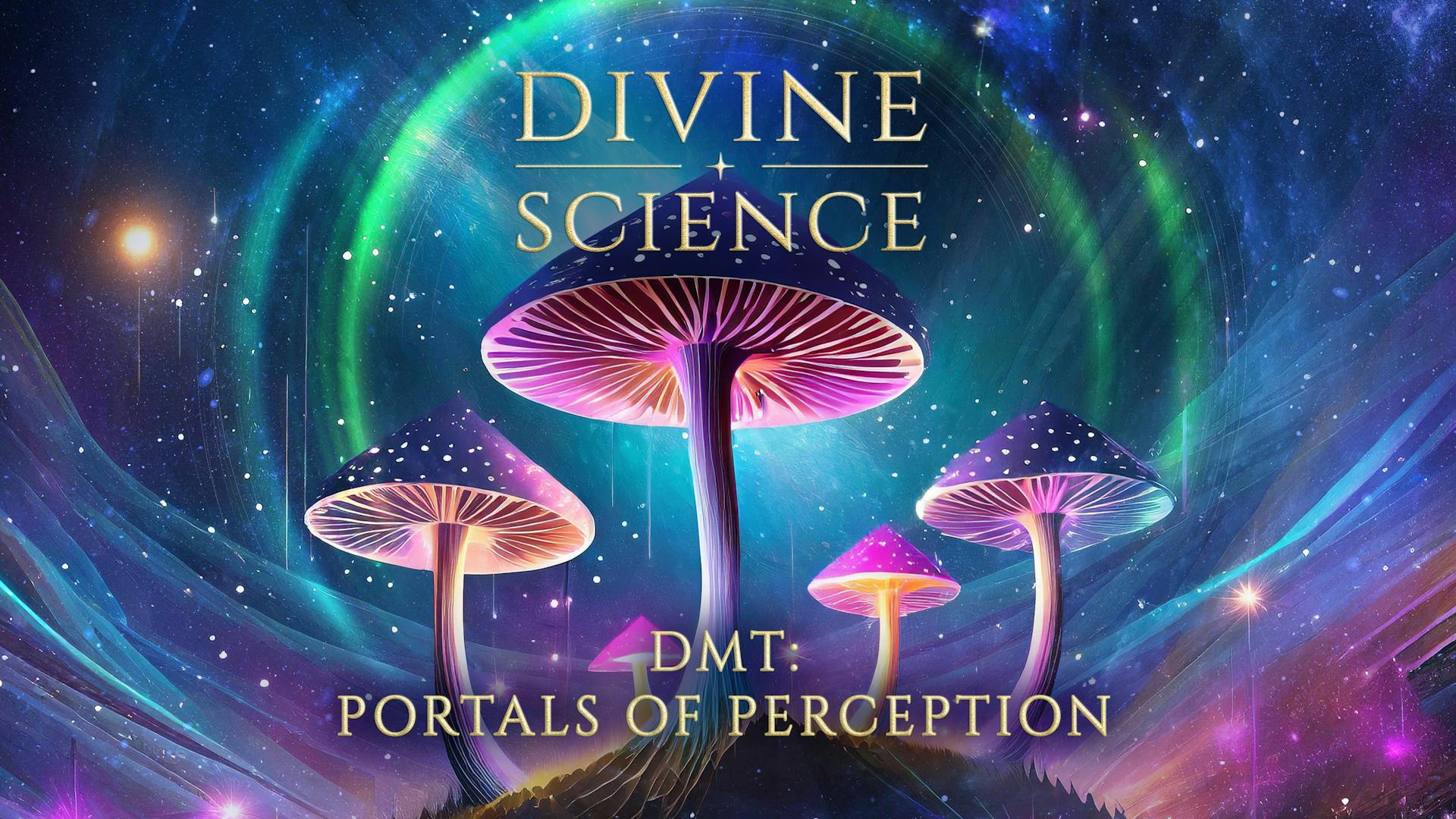 DMT Portals of Perception