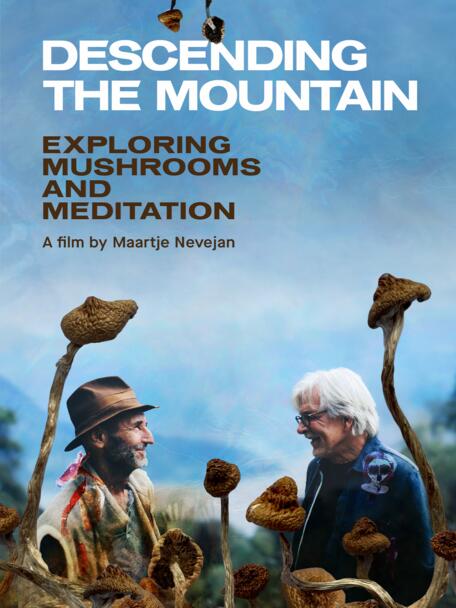 Descending The Mountain 3x4