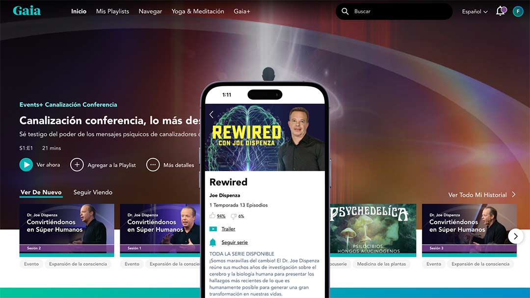 Es Rewired Bf Series