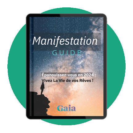 Fr Bonus Manifest Guide