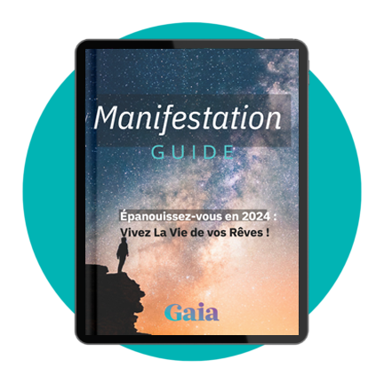 Fr Bonus Manifest Guide