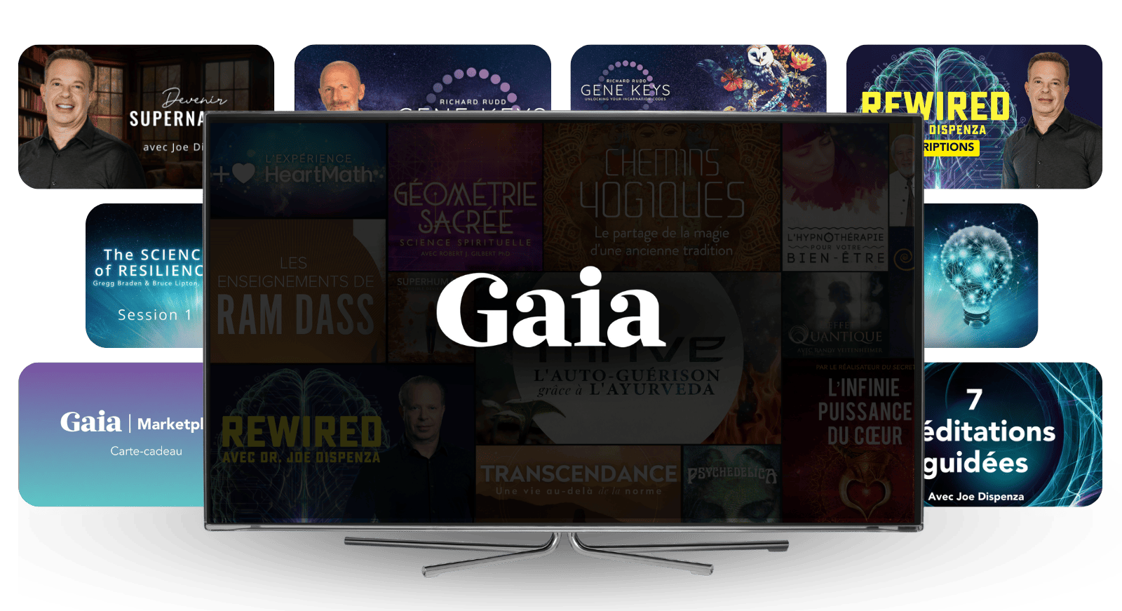 Fr Rewired Bundle V2