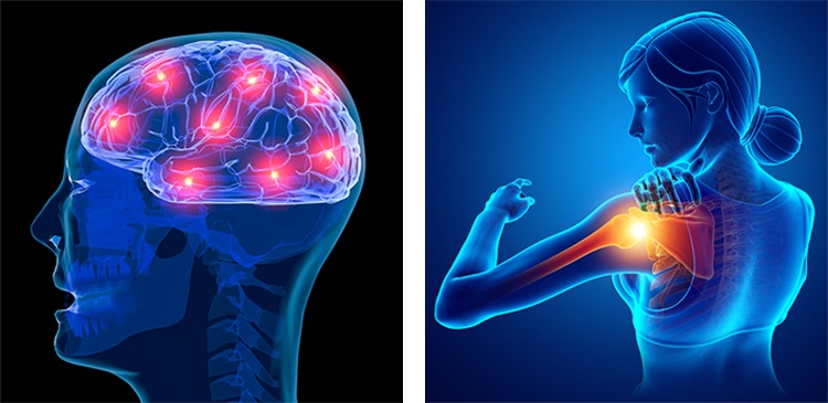 Es gibt zwei Formen von Schmerz: Primärer und sekundärer Schmerz