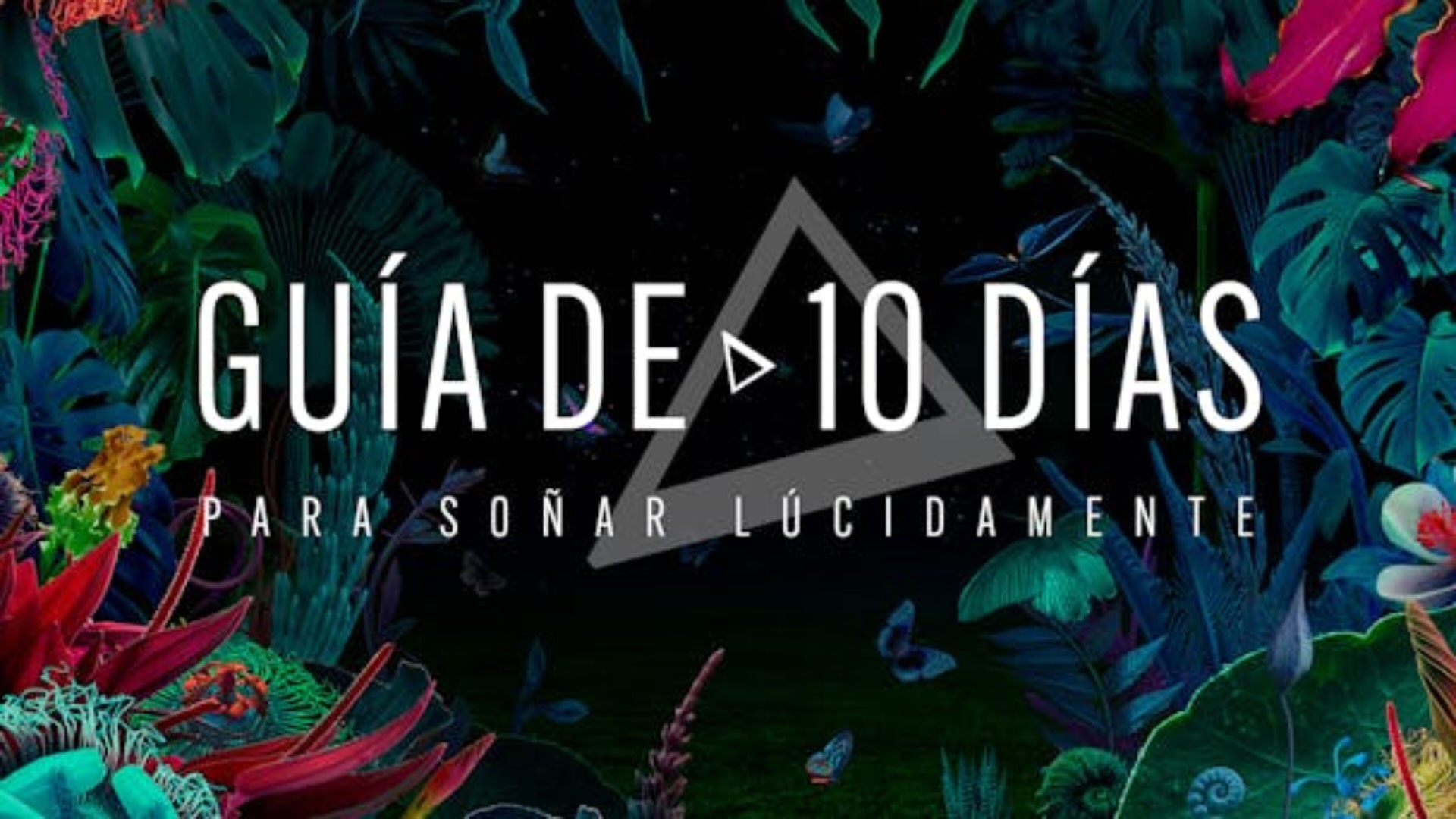 Guia Para Sonar Lucidamente