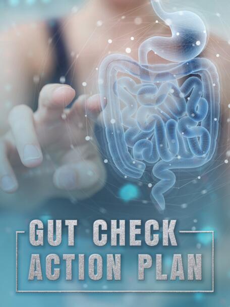 Gut Check Action Plan 3x4