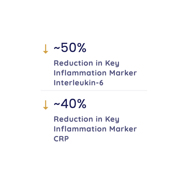 Igni Ob Long 1x1 P04 Stats Smaller 608x608 Updated 20250814 Resized