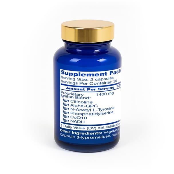 Igni Products Cognition Back 608x608