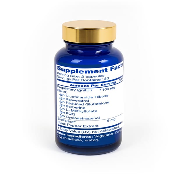 Igni Products Longevity Back 608x608