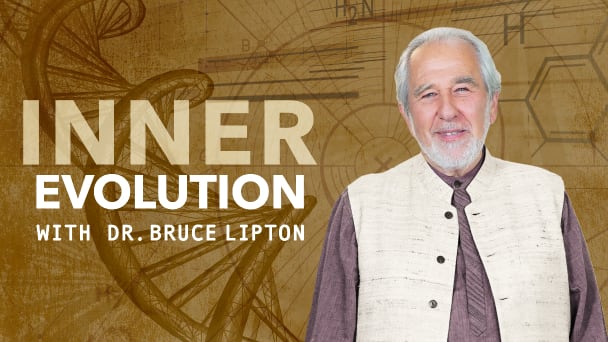 Inner Evolution Keyart