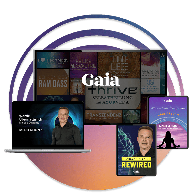 Manifest De Boundle V2 (1)