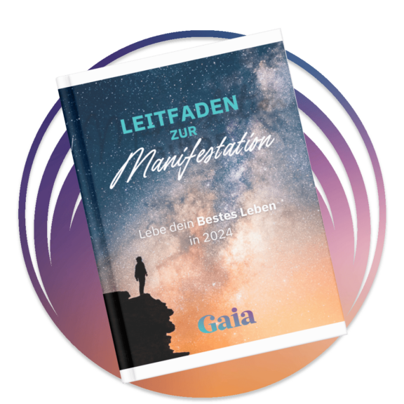 Manifest De Manifestguide