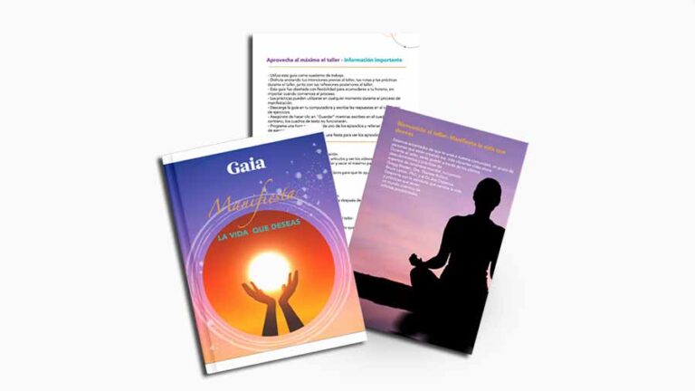 Manifestation Bonus Es Guide