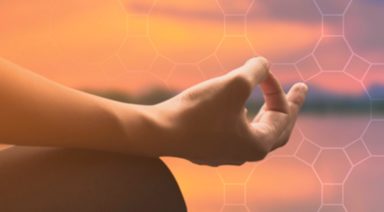 The How's and Why's of Meditation