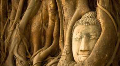 4 Prácticas informales de Mindfulness