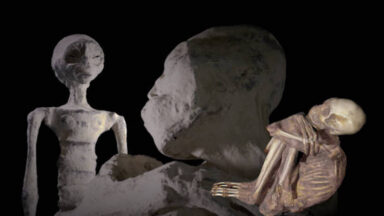 Peruvian Universities Announce Update on Nazca Mummies