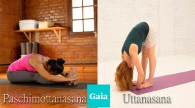 Paschimottanasana y Uttanasana