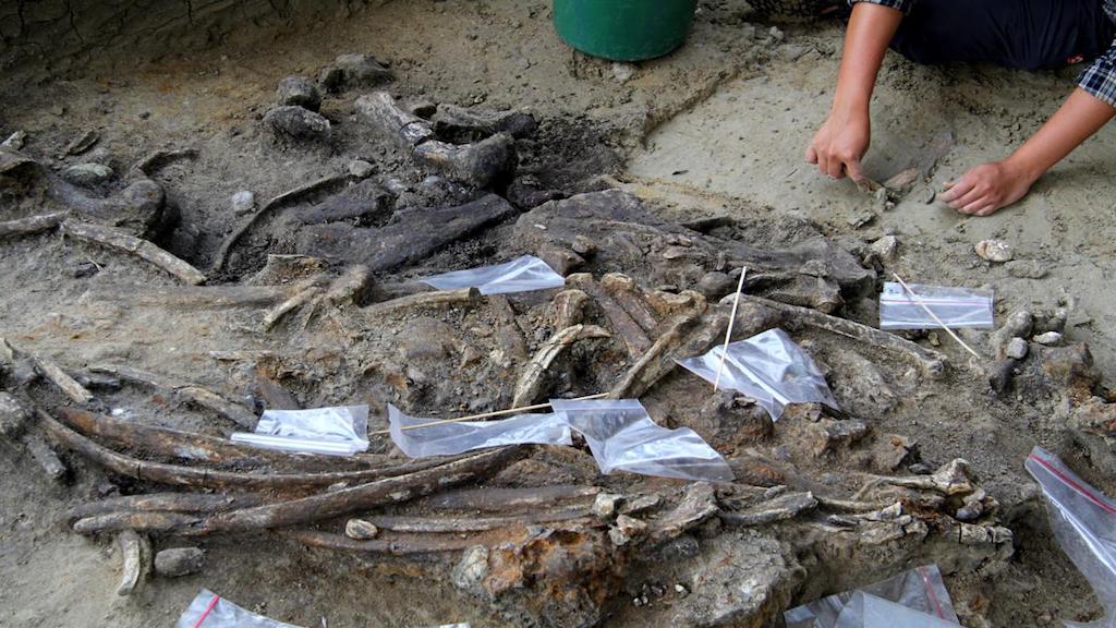Evidence of 700,000-Year-Old Ancient Humans Found in Philippines
