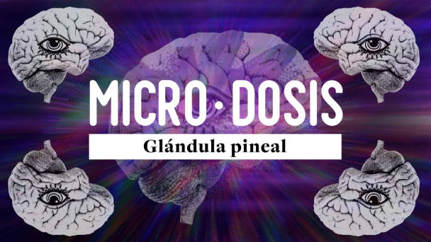 Pineal