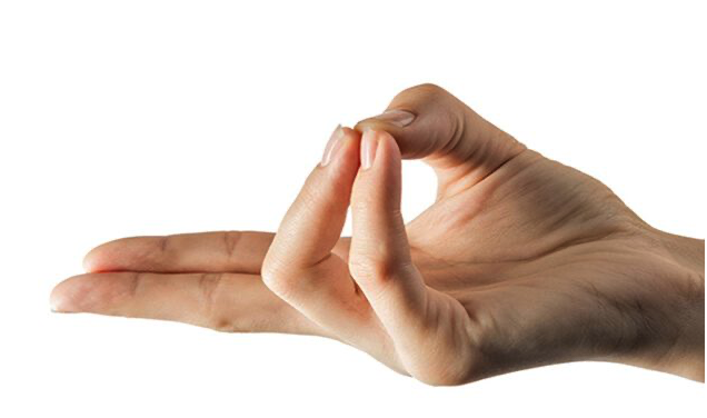Prana Mudra