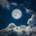 Transient Lunar Phenomena