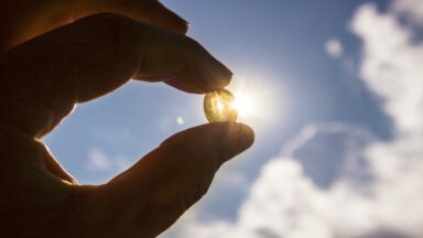 Dr. Jack Kruse Explains the Importance of Sunlight Vitamin D for Health
