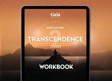 trans2 salespage masterclassslider 3 workbook