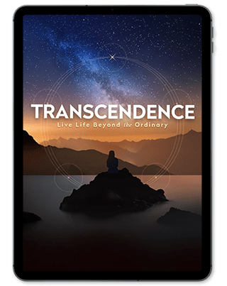 trans2 t1 ipad 320x403