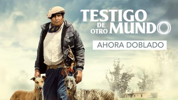 Testigo