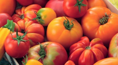 Toma tomate: mima y protege tu piel