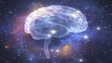 Is The Universe One Big Interconnected Neural Network?