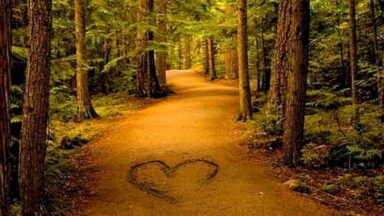 El regalo del Dolor: volver al Amor