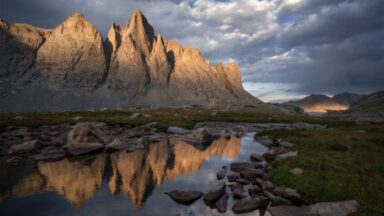 Co-crea tu realidad utilizando el poder de la intención