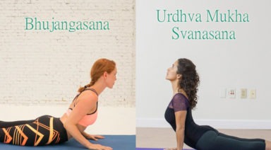 Urdhva Mukha Svanasana y Bhujangasana