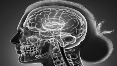 Stimulating This Nerve May Reduce Chronic Stress in the Body