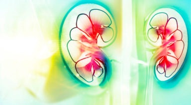 Yoga y vísceras: Riñones