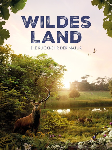 A48aba52 A811 4400 Be7f B70712f7ddbf (3)