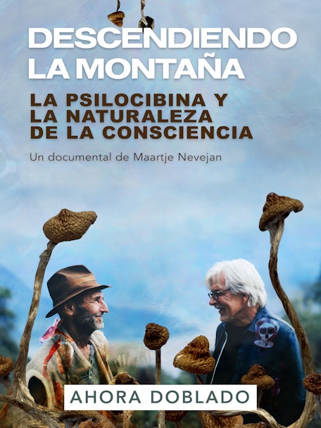 A914c152 7d89 4d81 A865 Bd458104e0b4