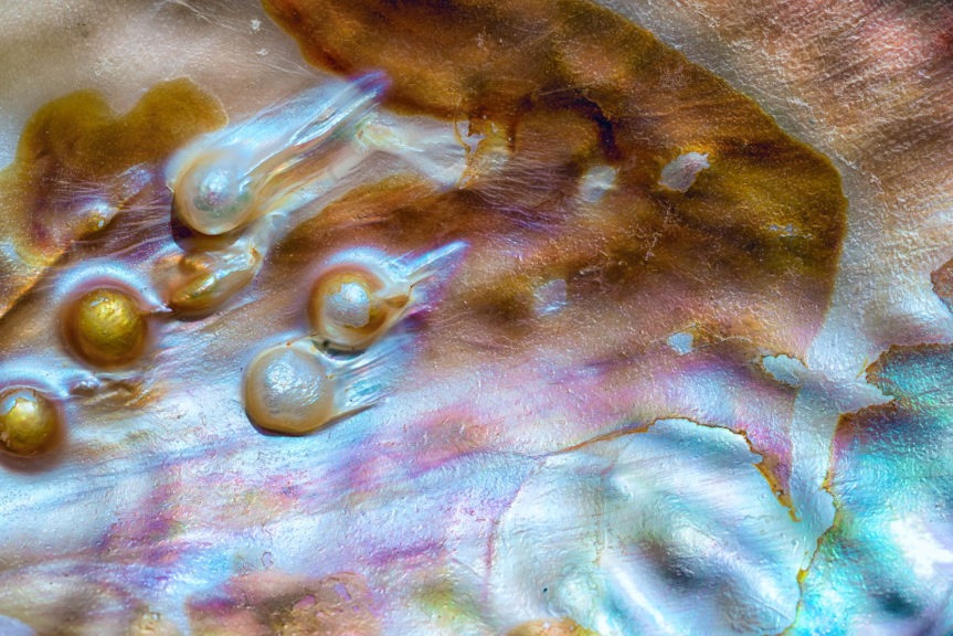 Pearl Metaphysical Properties A Hidden Gemstone Guide Gaia