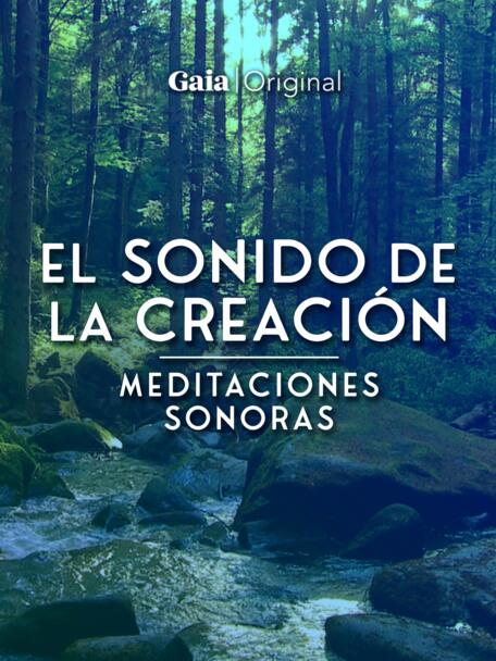 Ad6ded55 C2fb 4c96 8263 E59d7a0ba257