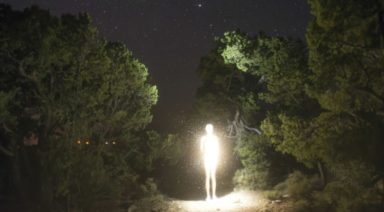 Are Humans Actually Aliens on Earth?