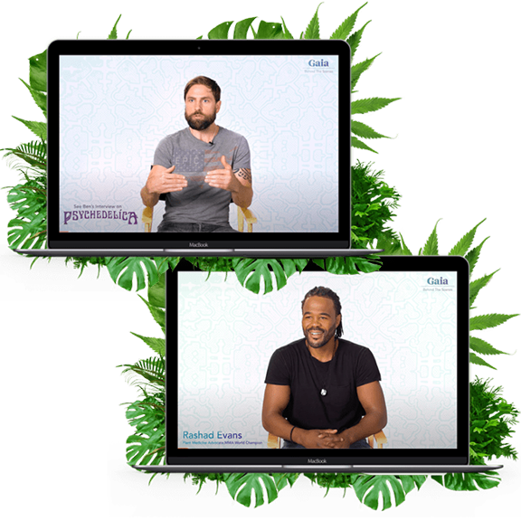 Behind the Scenes Q&A with Ben Stewart & Rashad Evans