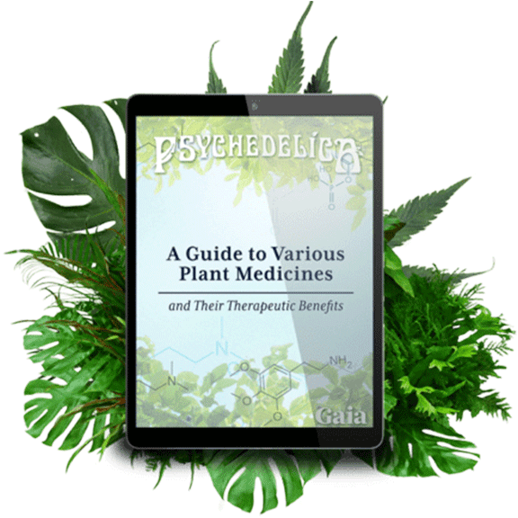 Guide to Various Plant Medicines
