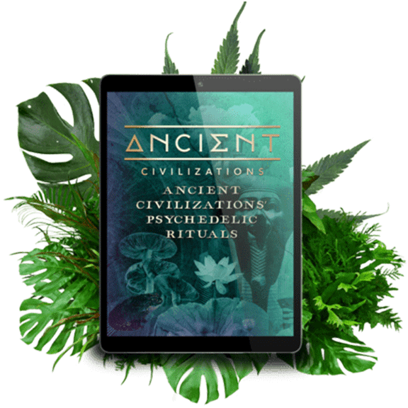 Psychedelic Rituals of Ancient Civilizations