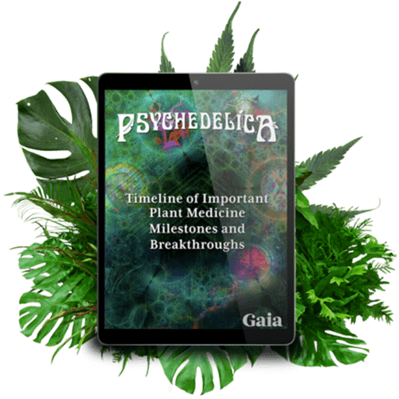 Psychedelic Milestones Poster