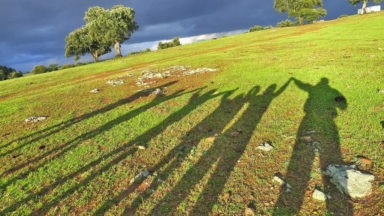 10 ideas para tener un estilo de vida  más ECO y sostenible