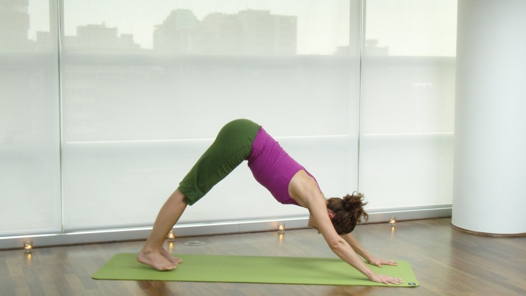 Upper Arm Spirals in Down Dog