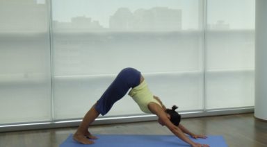 Asana Anatomy Downward Facing Dog